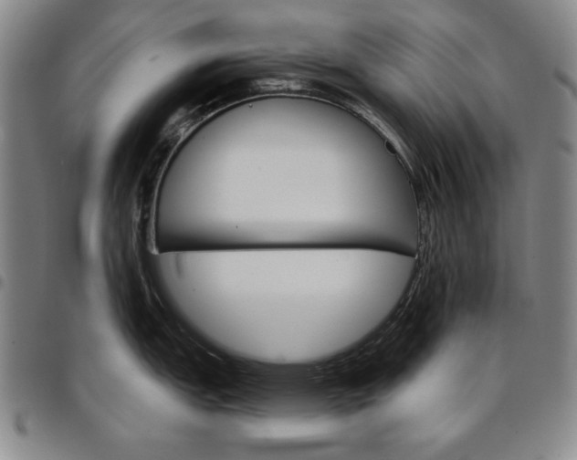 X0000096661151200802191300