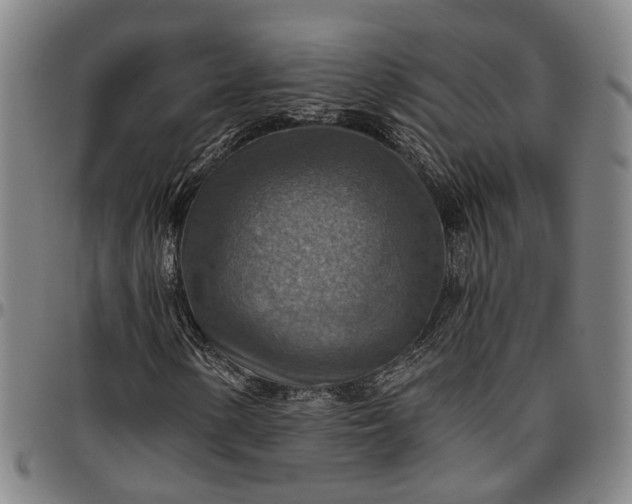 X0000096661154200802191259