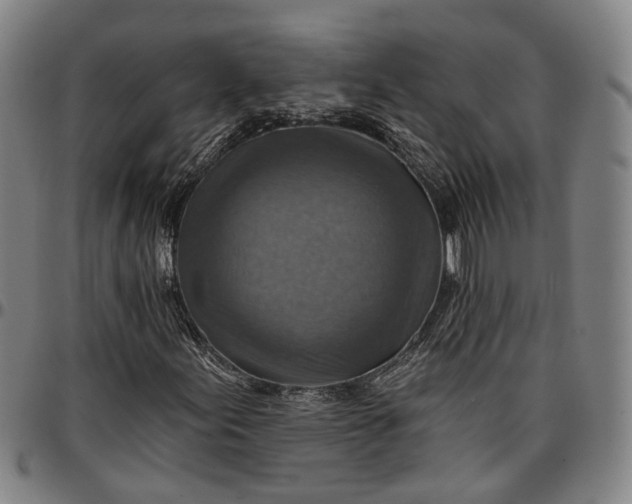 X0000096661155200802191259