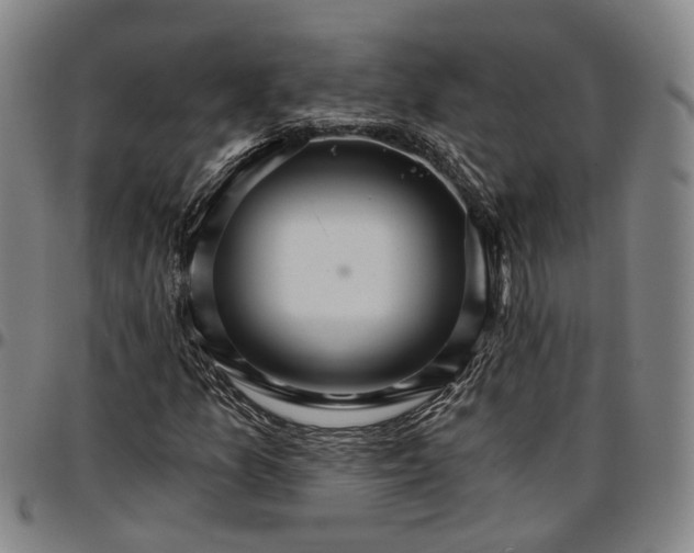 X0000096661157200802191259