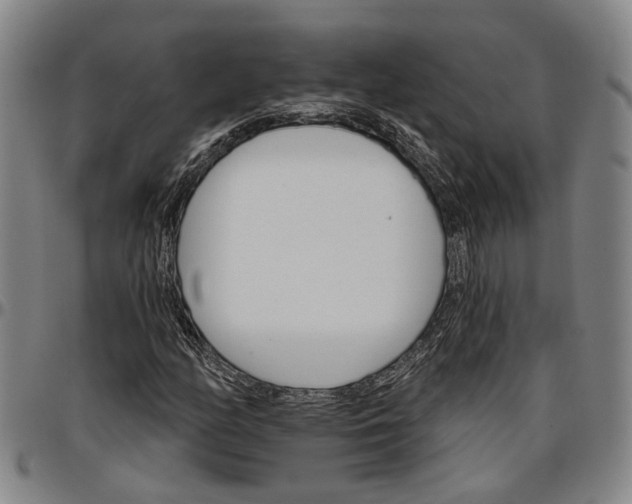 X0000096661158200802191259