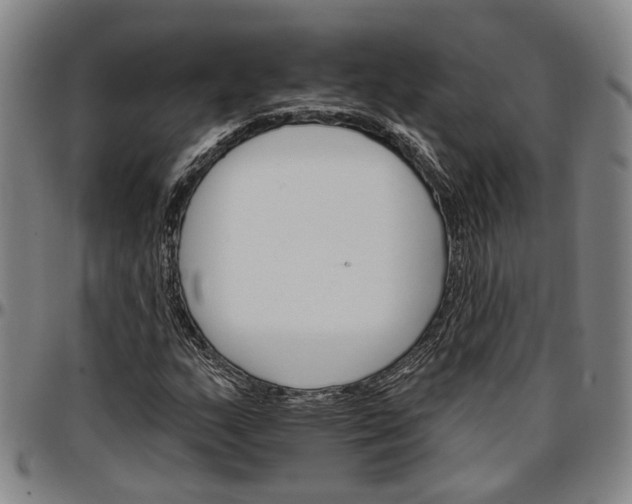 X0000096661159200802191259