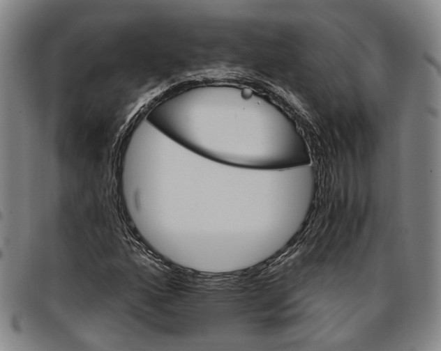 X0000096661160200802191259