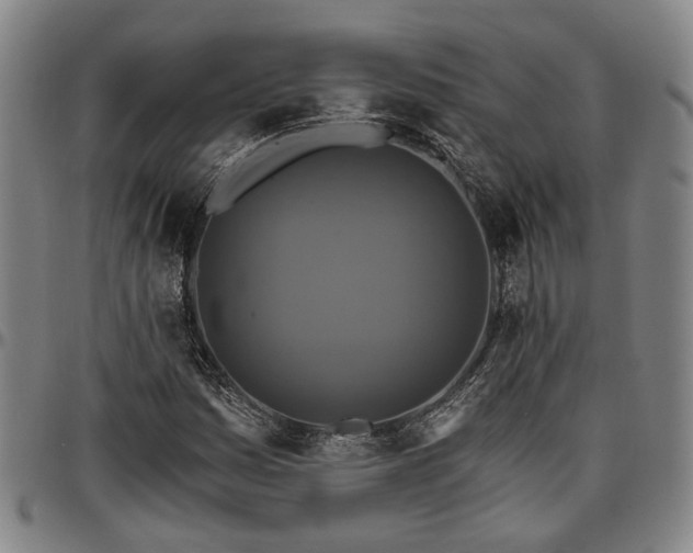 X0000096661161200802191259