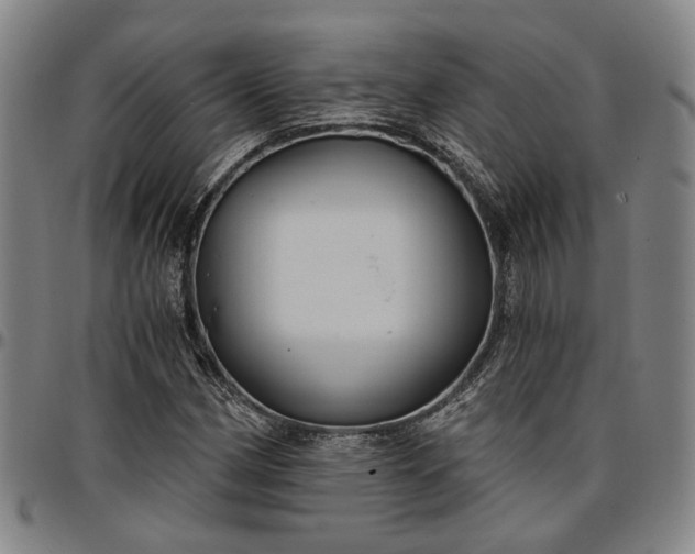 X0000096661162200802191259