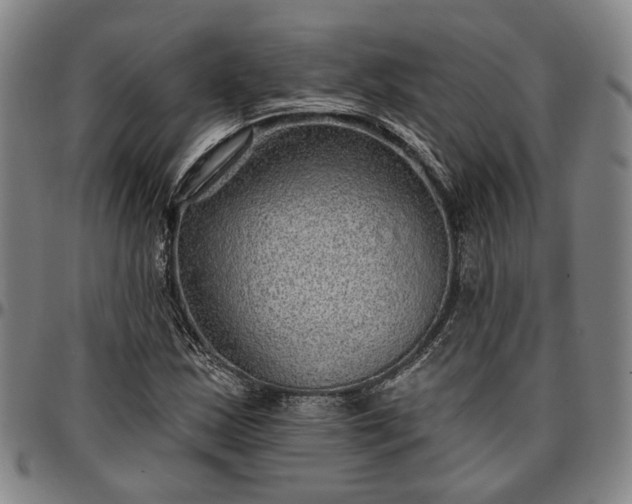 X0000096661163200802191259