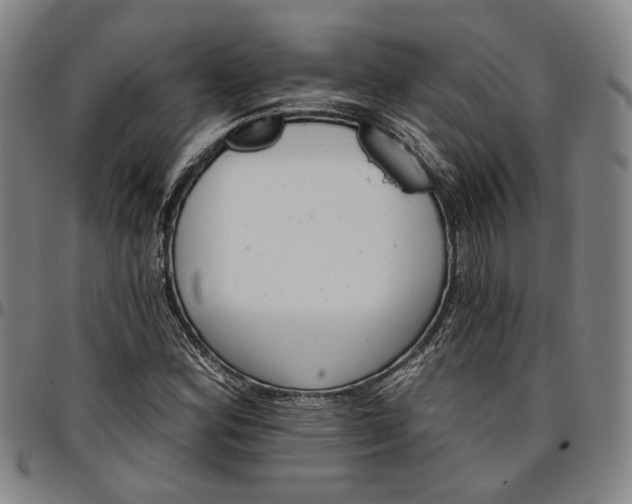 X0000096661164200802191259