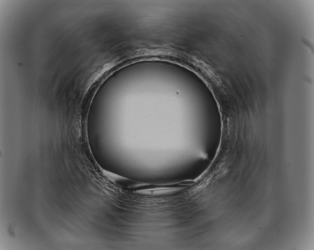 X0000096661165200802191259