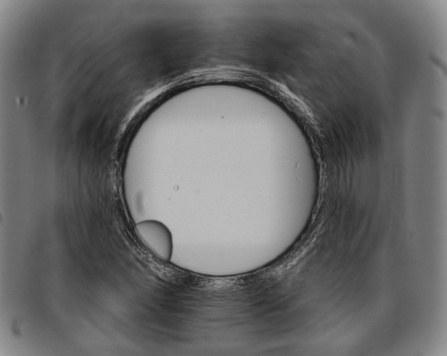 X0000096661166200802191259