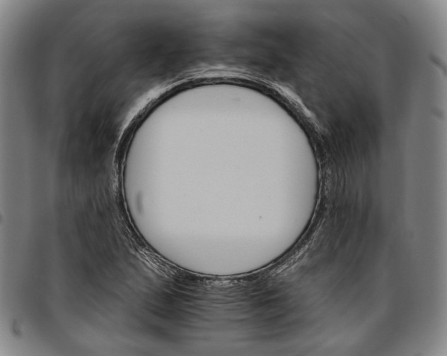 X0000096661167200802191259