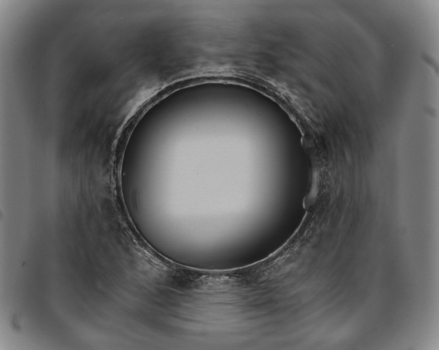 X0000096661168200802191259