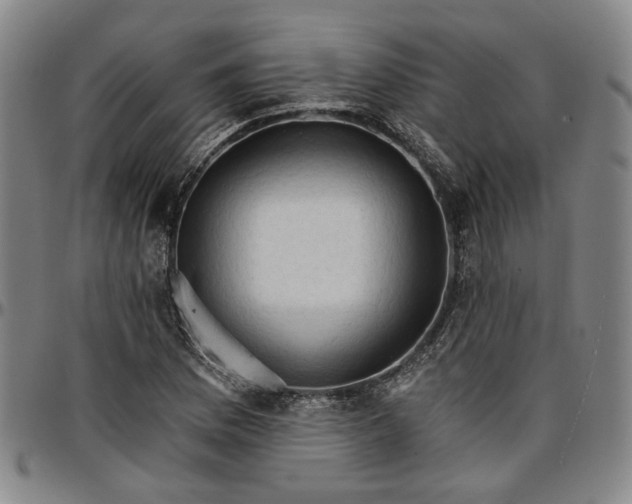 X0000096661169200802191259