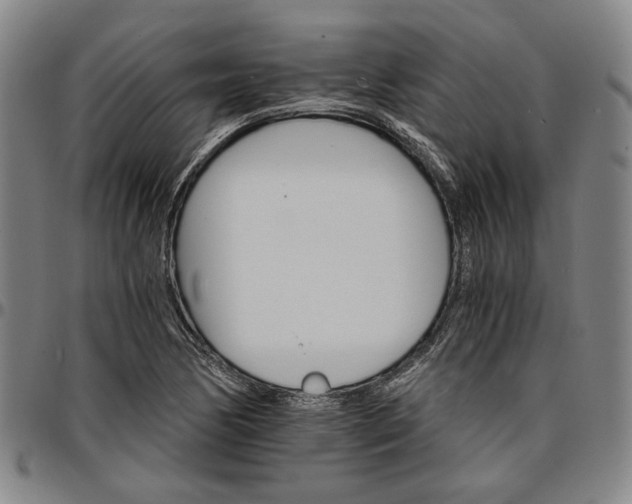 X0000096661170200802191259