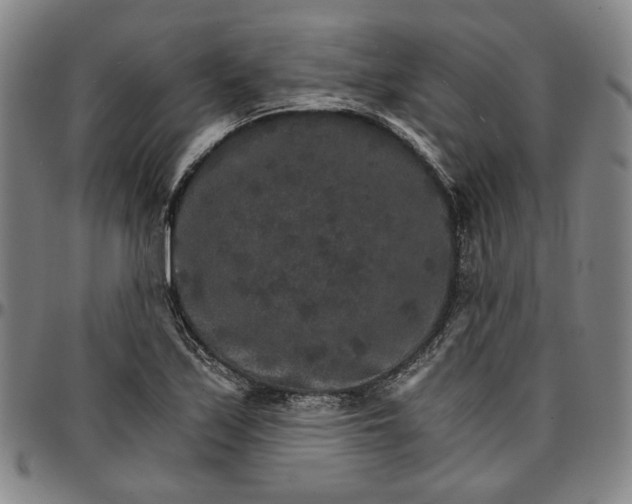 X0000096661171200802191259