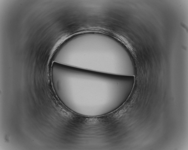 X0000096661172200802191259