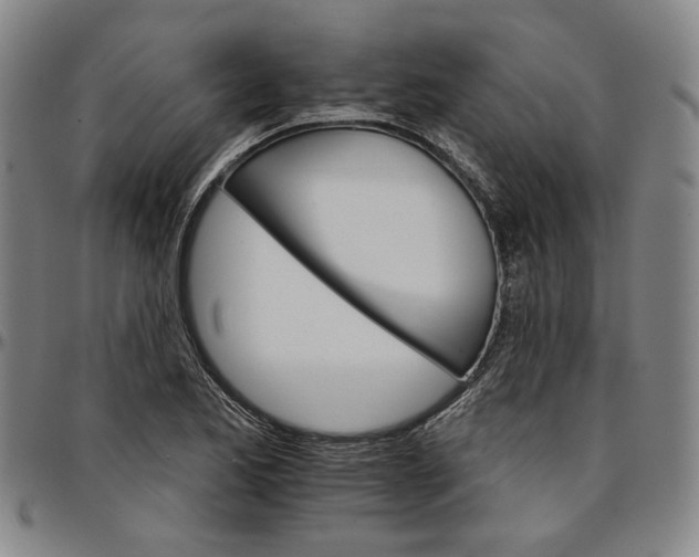 X0000096661173200802191259