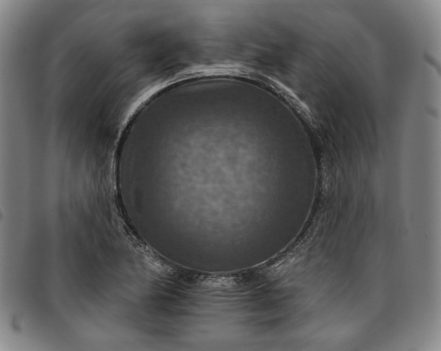 X0000096661174200802191259