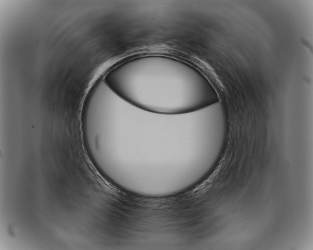 X0000096661176200802191259