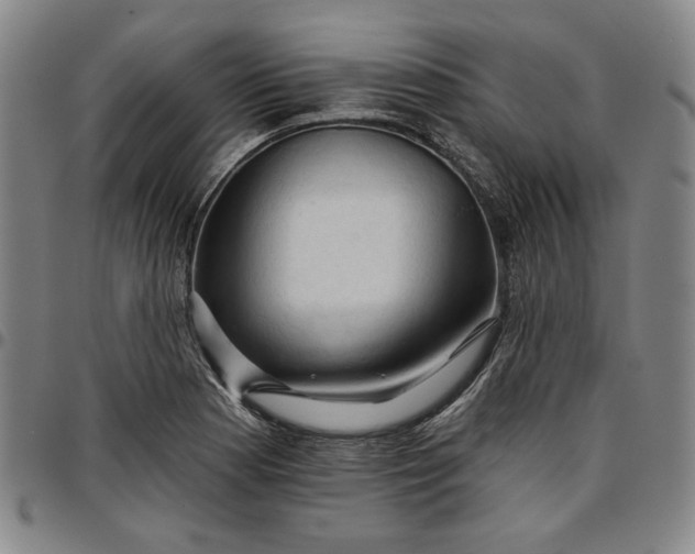 X0000096661177200802191259