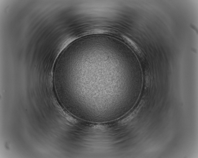 X0000096661178200802191259