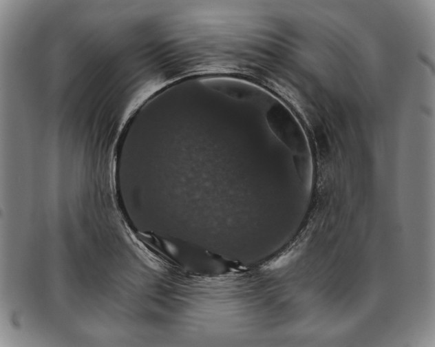 X0000096661179200802191259