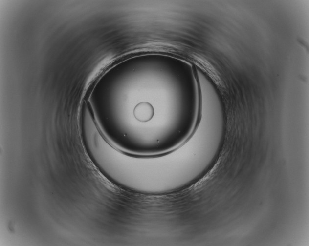 X0000096661180200802191259