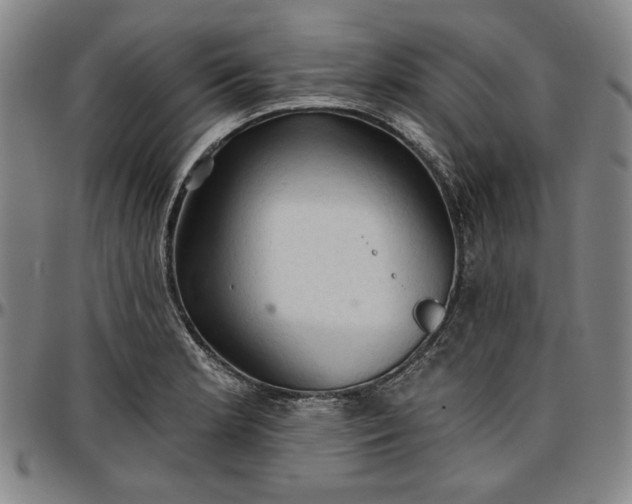 X0000096661181200802191259