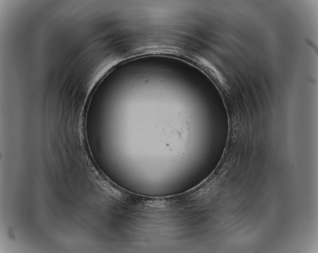 X0000096661182200802191259