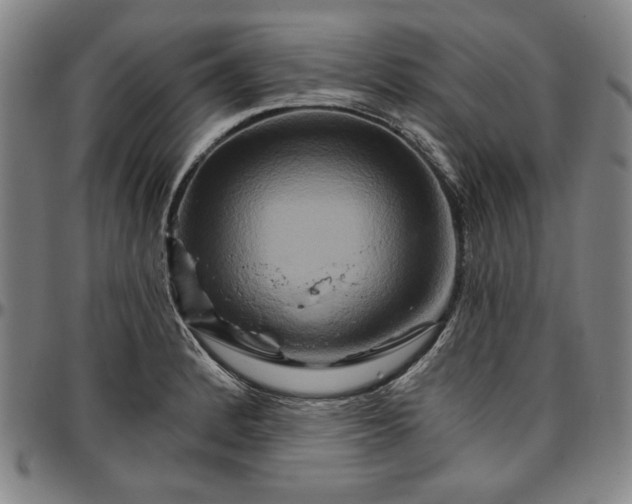 X0000096661184200802191259