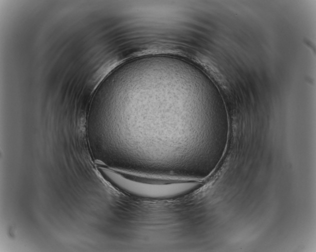 X0000096661185200802191259