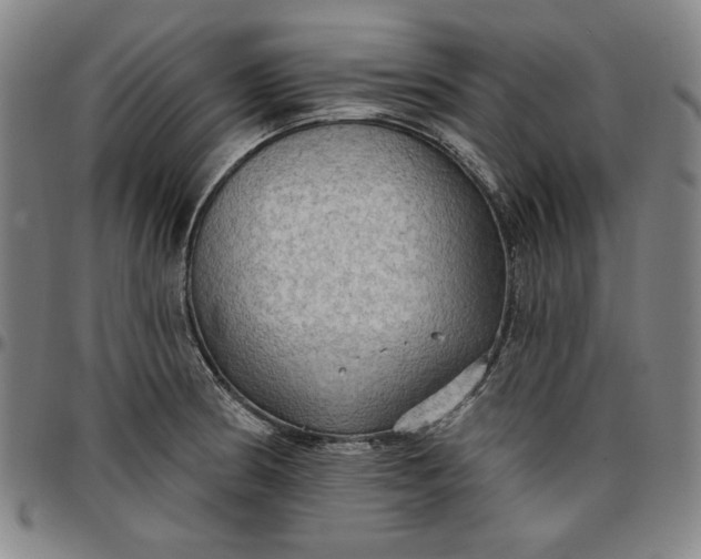 X0000096661186200802191259