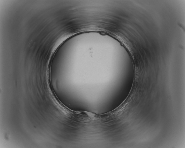 X0000096661187200802191259