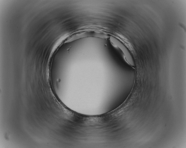 X0000096661188200802191259