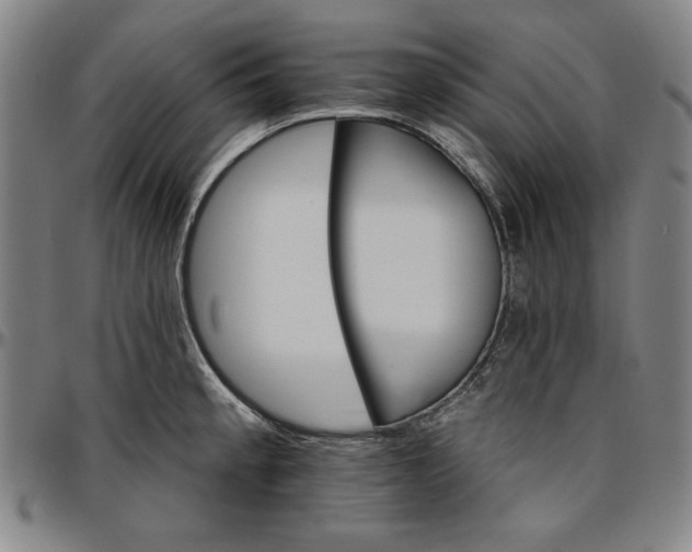 X0000096661189200802191259