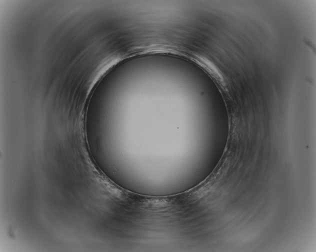 X0000096661190200802191259