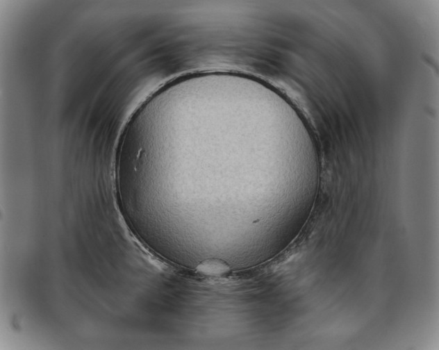 X0000096661191200802191259