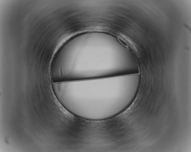 X0000096661192200802191259