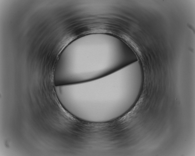 X0000096661193200802191259