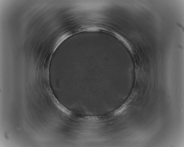 X0000096661194200802191259