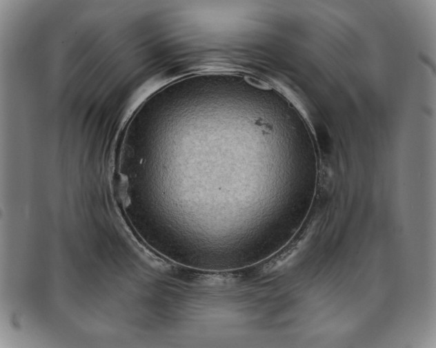 X0000096661195200802191259