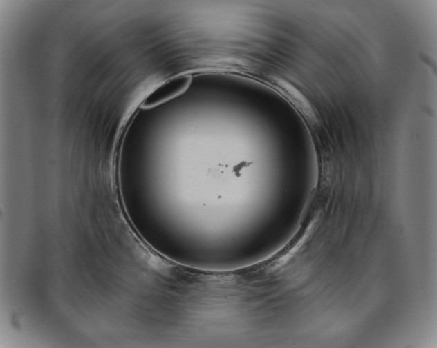 X0000096661196200802191259