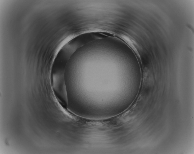 X0000096661197200802191259