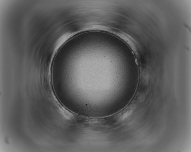 X0000096661199200802191259