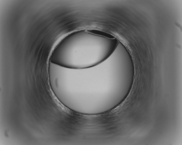 X0000096661200200802191259