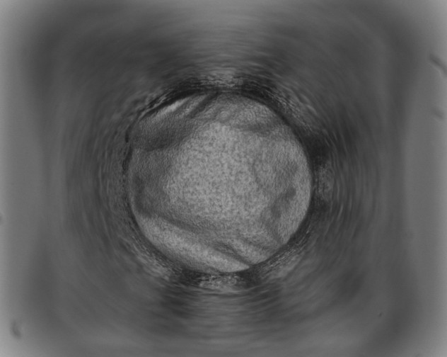 X0000096661201200802191258