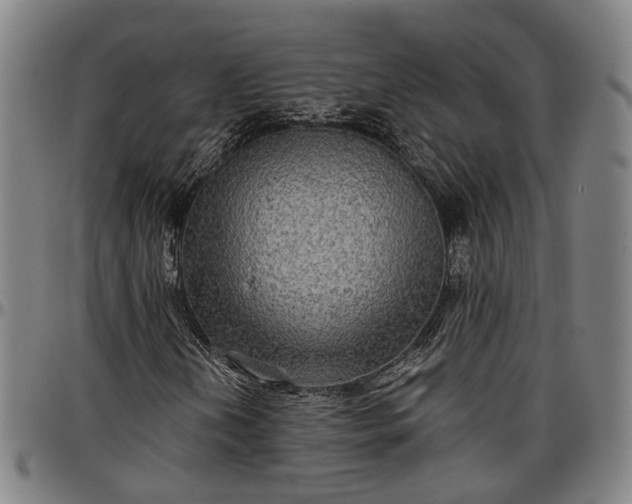 X0000096661202200802191258