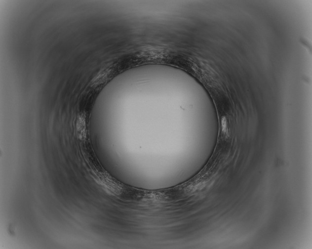 X0000096661203200802191258