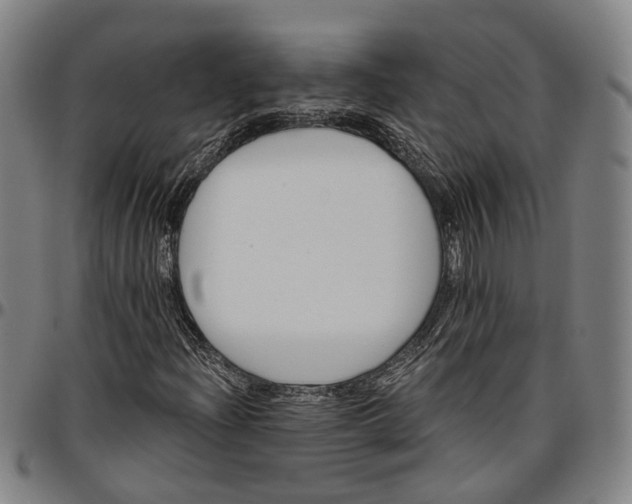 X0000096661204200802191258