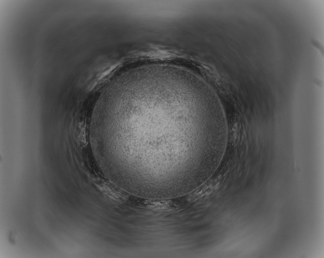 X0000096661205200802191258