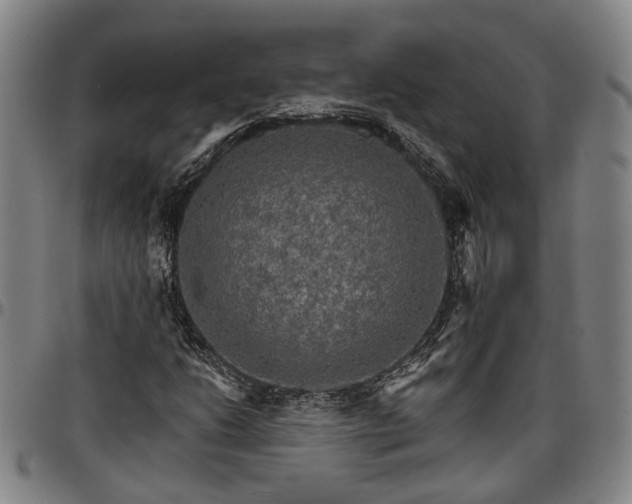 X0000096661206200802191258